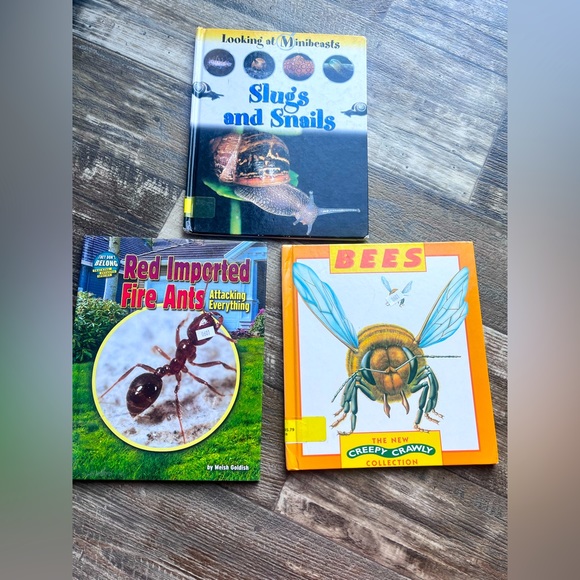 Lot of 3 educational children’s books about insects & bugs - bees slugs & ants - Picture 1 of 2